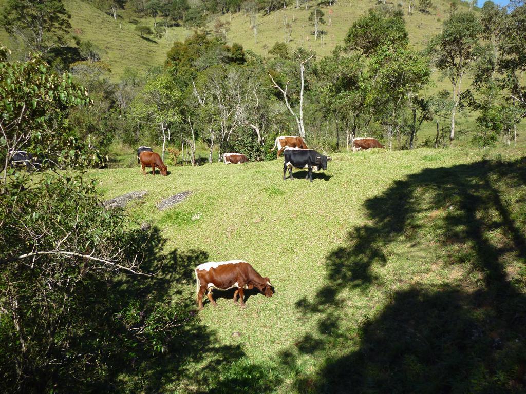 Apartamento Ferias Fazenda Usina 1 Bocaina de Minas Eksteriør bilde