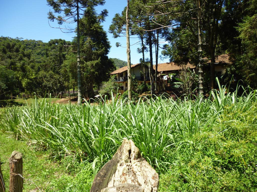 Apartamento Ferias Fazenda Usina 1 Bocaina de Minas Eksteriør bilde