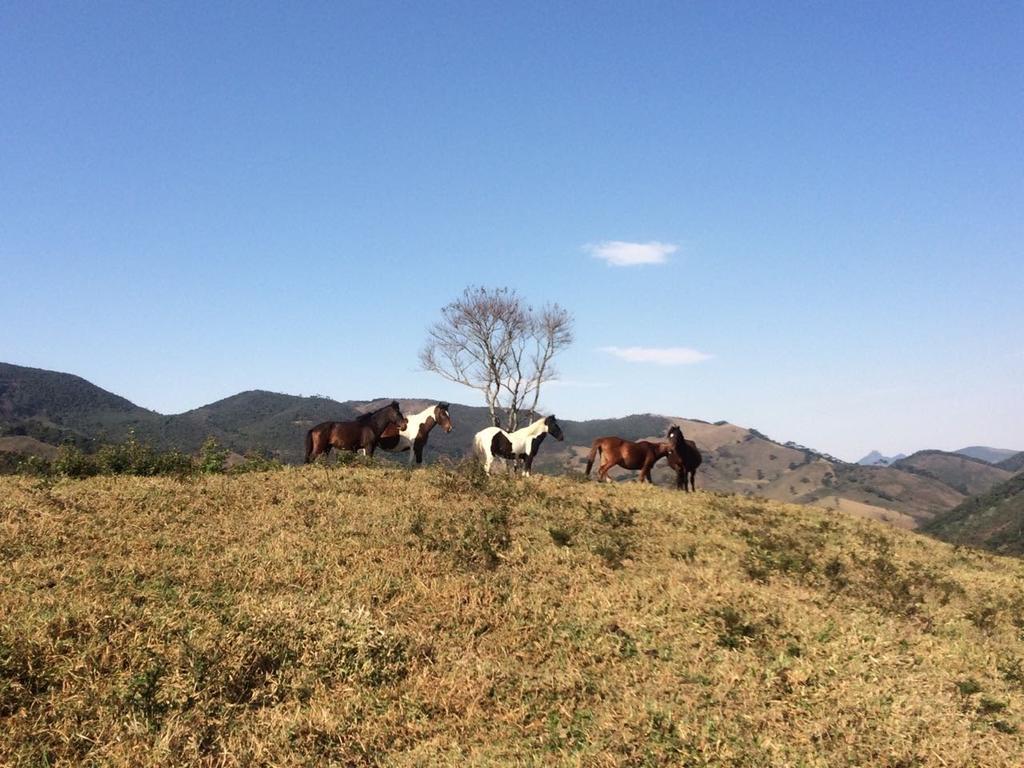 Apartamento Ferias Fazenda Usina 1 Bocaina de Minas Eksteriør bilde
