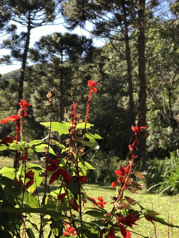 Apartamento Ferias Fazenda Usina 1 Bocaina de Minas Eksteriør bilde