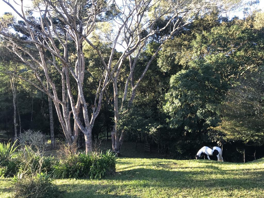 Apartamento Ferias Fazenda Usina 1 Bocaina de Minas Eksteriør bilde